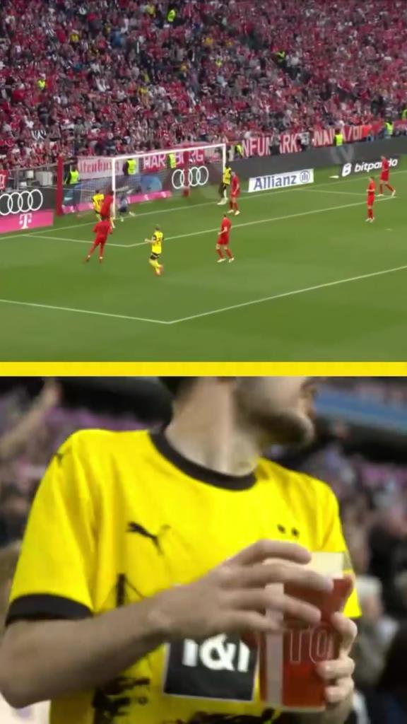 勇者無懼！這是真多特球迷！在拜仁球迷區(qū)一個人肆意慶祝！